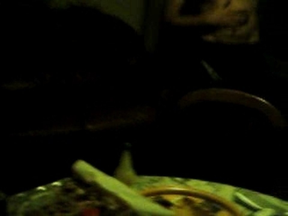 Tibo faisant uen choré bourré