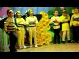 KG1 Orchid Open Day & Drama Shows