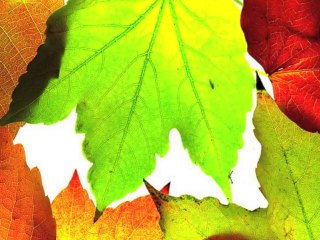 CIRO PERRINO Interludio - Meditation Music