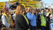 million woman march for endometriosis - Paris 13/3/14 - discours de Sonia Dubois