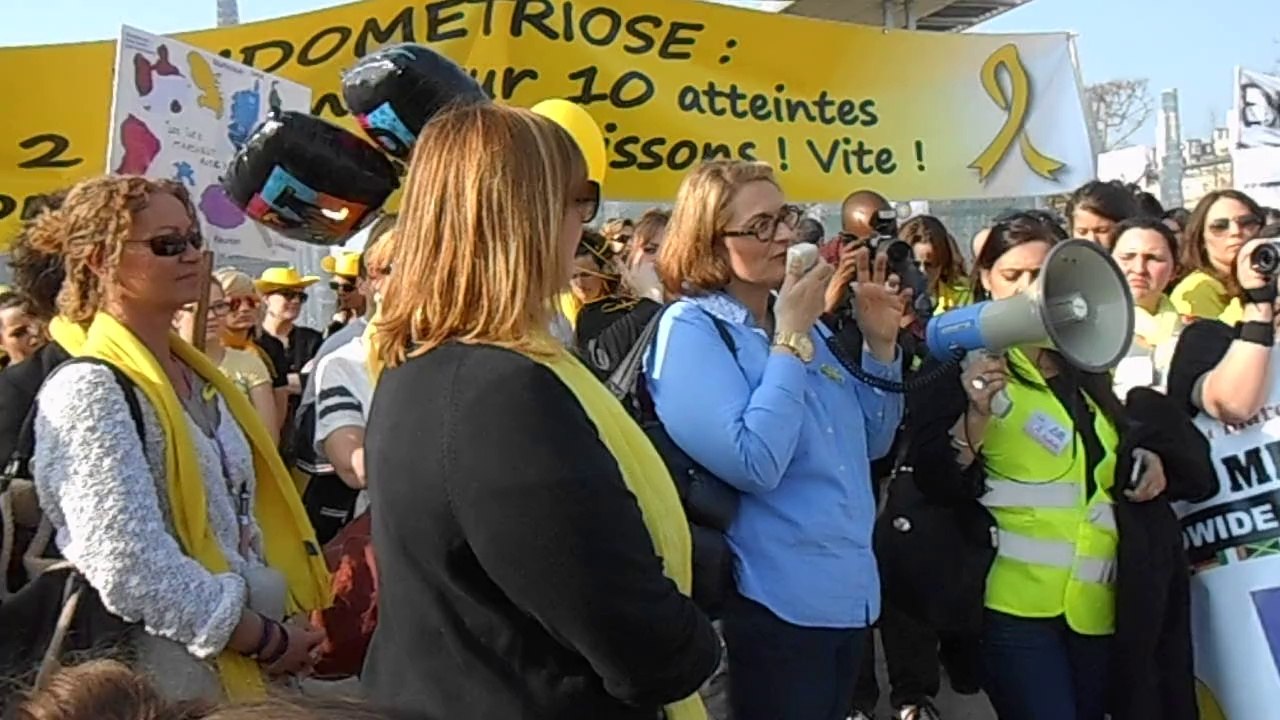 million woman march for endometriosis - Paris 13/3/14 - discours de Sonia Dubois