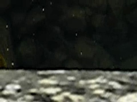 pêche au leurre brochet à vu