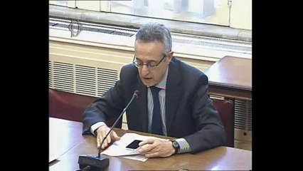 Roma - Riforma Pac, audizione Consorzio nazionale olivicoltori (13.03.14)