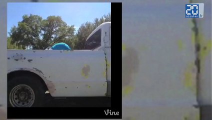 Le whaling, nouveau phénomène qui émerge de Vine