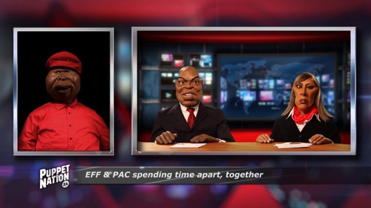PNN 3.1