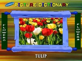 Flowers Name......Latest Education Video For Kids