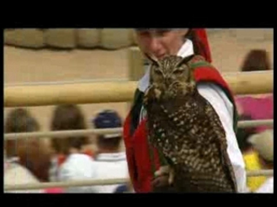 Puy du Fou - Le Bal des Oiseaux Fantomes