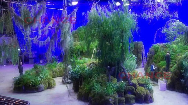 Shakira, última imagen de Activia