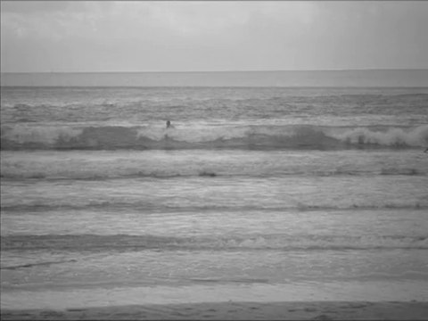 Royan plage (17200) - Charente Maritime