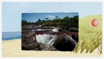 TRAVEL INSAPIRATION – CAÑO CRISTALES