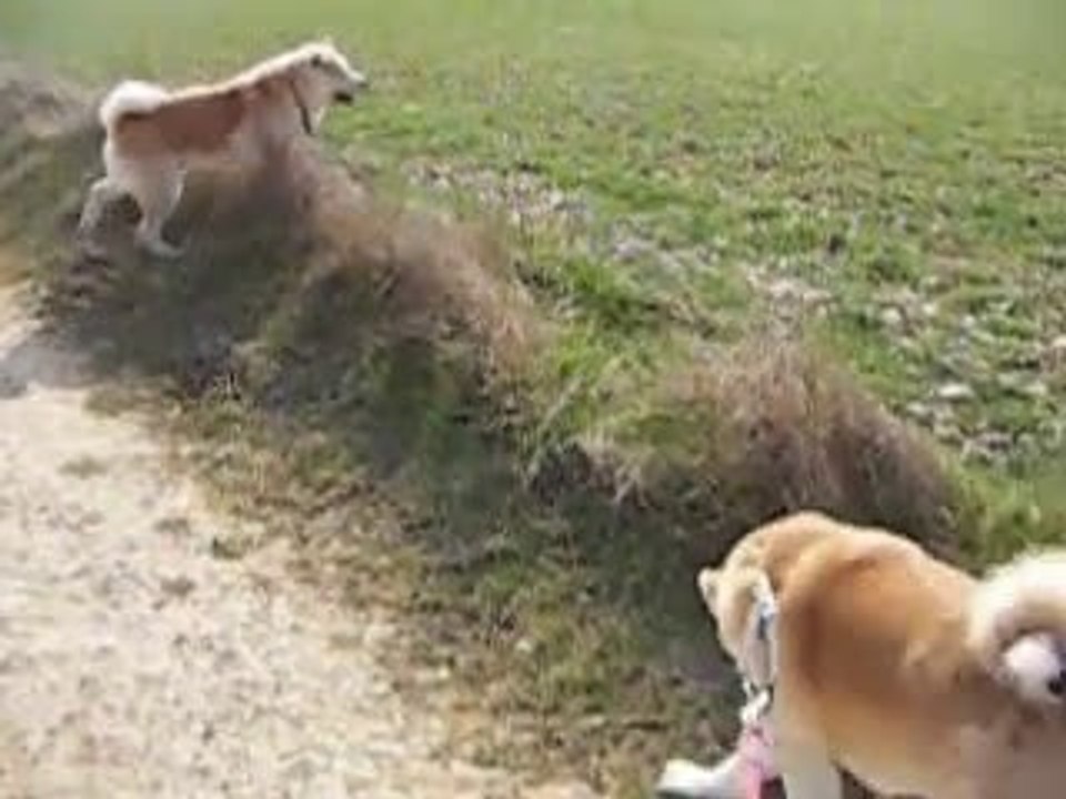 Nos activités pour un bon mental