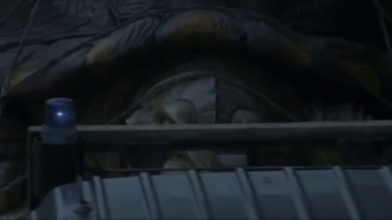 World's Largest Tortoise Captured Alive