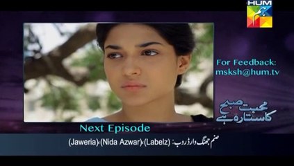 Mohabbat Subh Ka Sitara Hai by Hum Tv Episode 15 - Preview