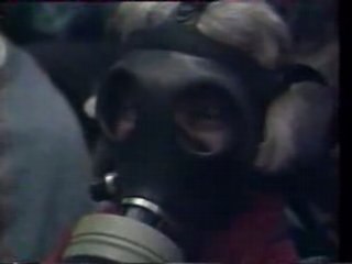 Isaac Stern contre Saddam Hussein