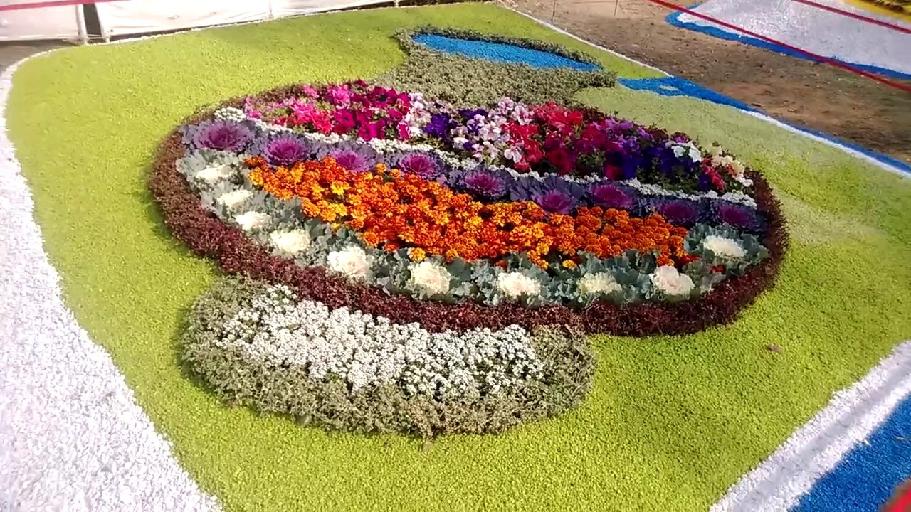 Karachi Zoo Great Flower Show and Zoo day Matka