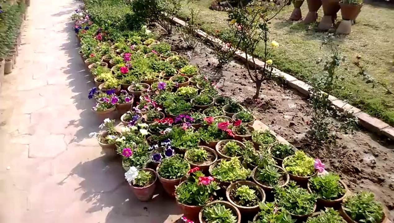 Karachi Zoo Great Flower Show and Zoo day Flowar Show