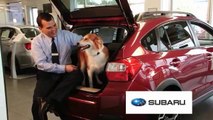Love Spring Event with the 2014 Subaru Impreza at Putnam Subaru