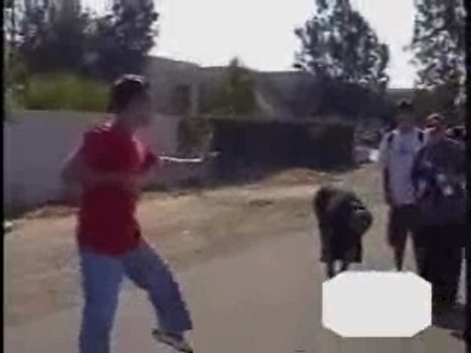 karate_rue_combat