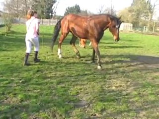 Vivaldi et Ramses séance fun!