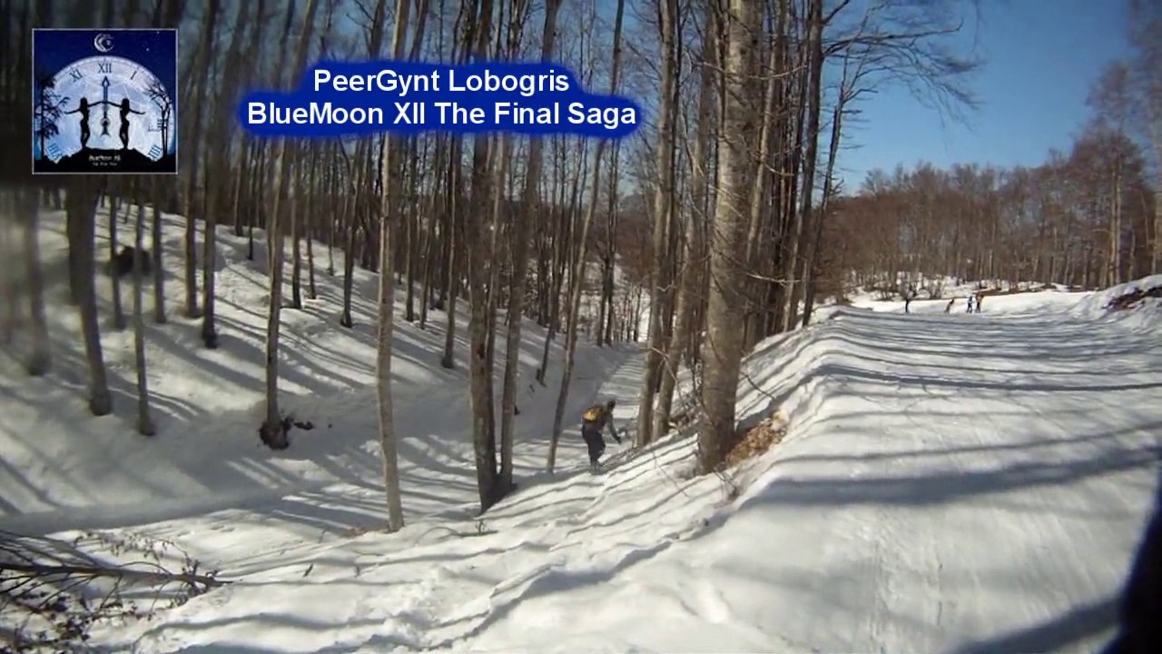 2014.03.03 ski aux plans d'hotonnes