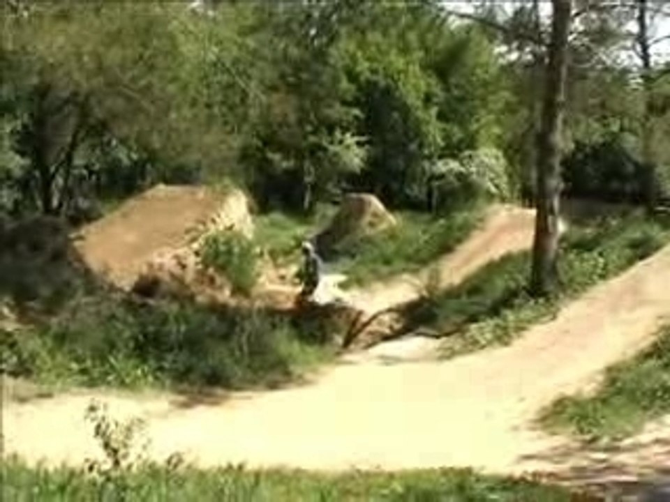Sudisterie