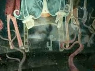 Don't die ding: a holiday spectacular