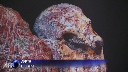 Little Foot, l'australopithèque qui pourrait être notre ancêtre