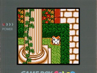 Hamtaro : Bienvenue au Club ! (Parte 16)