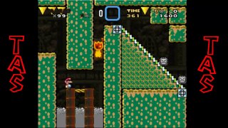 [TAS] Kouhai Mario 2 -- Level 14 --