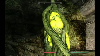 L'intégrale Skyrim - Ep 191 - Playthrough FR HD par Bob Lennon