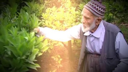 Asırlık Yüzler Doktorlar Film