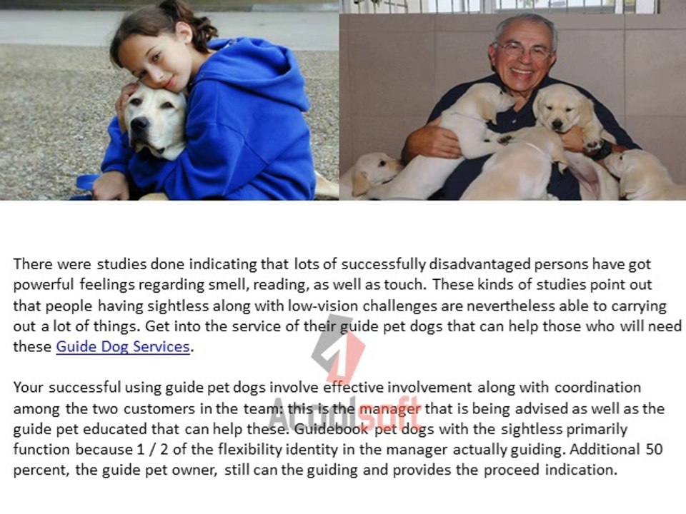 you have grown through this process guide dogs services