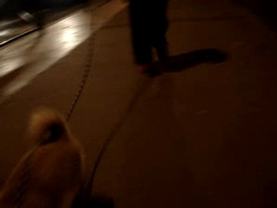 MOV00544