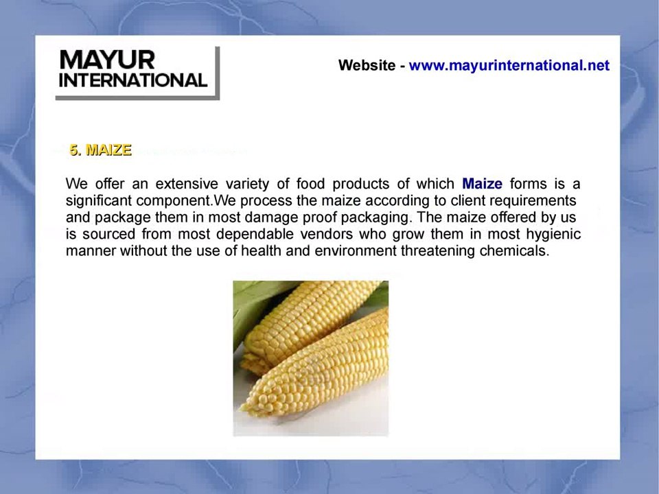 Agro Food Products Exporters From India - Mayur International