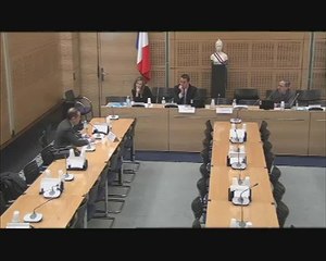 Audition de M. Bruno Racine, président de la Bibliothèque nationale de France - Mercredi 1 Décembre 2010