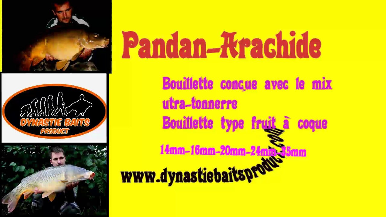 Dynastie Baits Product Bouillettes Denses Carpe