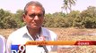 Rain hits mango crops badly , Navsari & Veraval - Tv9 Gujarati