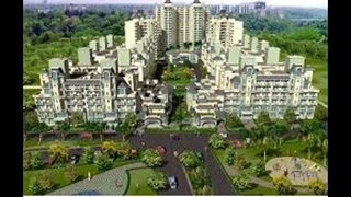hot deal (9891962162) CHD ONE sector-71 southern periphery road NEW PROJECT gurgaon
