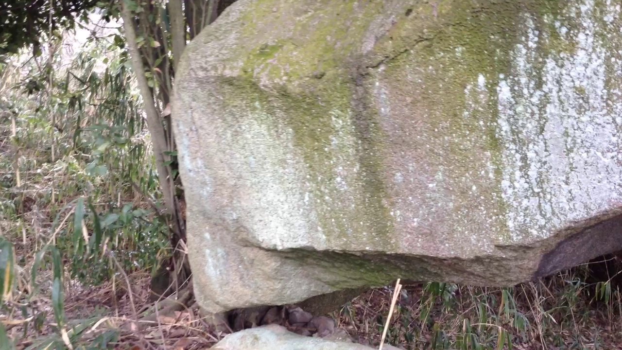 河内ドルメン（正式名：大窪・山畑36号墳）　＊八尾ドルメン