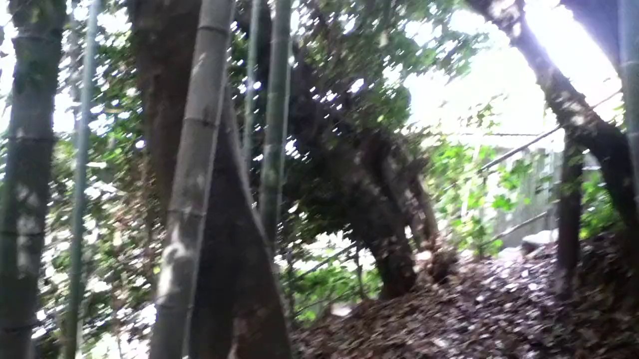 開山塚古墳（正式名：郡川1号墳）　八尾市