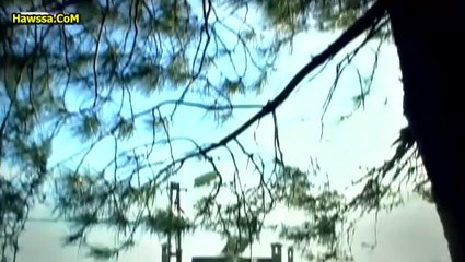 مسلسل وادي الذئاب - الموسم 7 - الحلقه 49 مدبلج