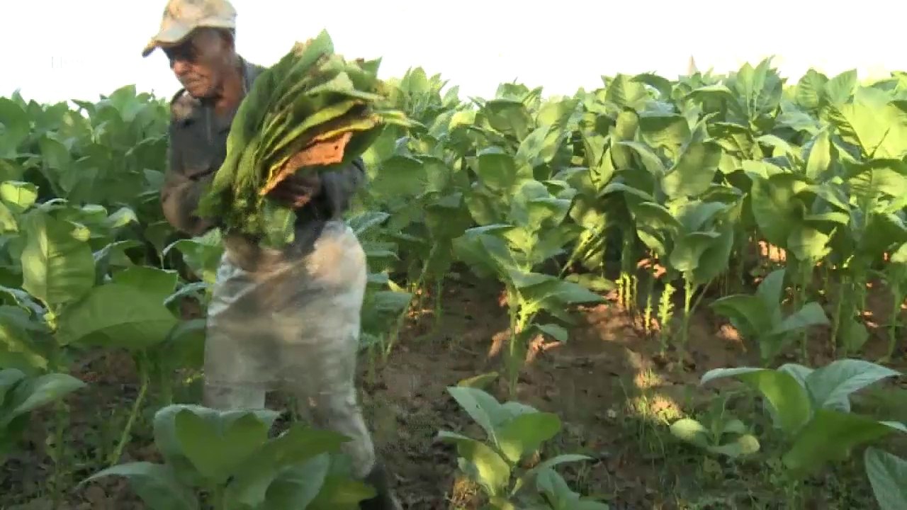 Wie die Reformen den Alltag in Kuba verändern | Journal Reportage