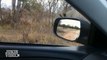 Rhino CHARGES and Attacks Car - Kruger National Park