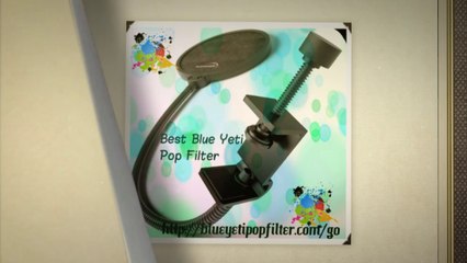 Two Styles of Pop Filters You Can Select From