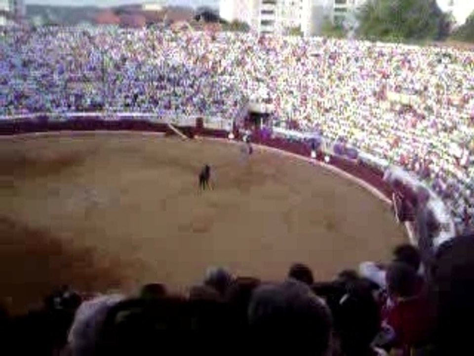 corrida a cheval aux arènes de bayonne