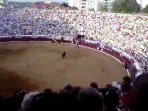 corrida a cheval aux arènes de bayonne