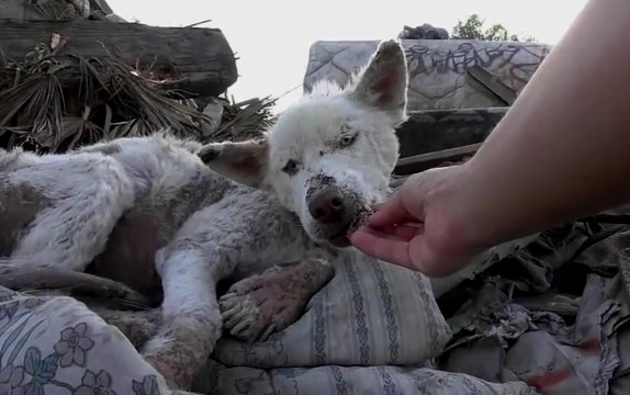 Dünyada Hala İyi İnsanlar Var! İyi İnsanlar İyi ki Varsınız..