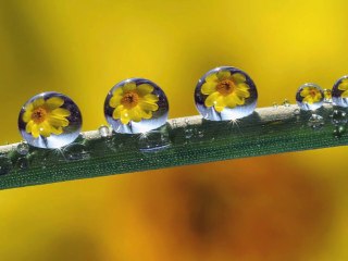 CIRO PERRINO Green Spirit - Relaxing Piano Music