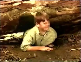 Cat Lassie Screen Test Funny Cat Video funny cats