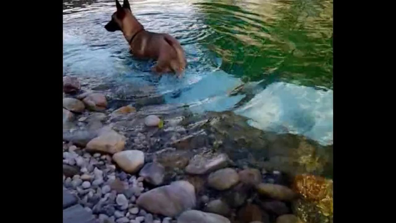 Be Aware Fleur @ Watertime